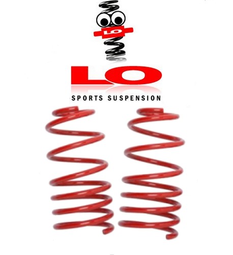 Lowering springs for - lowering,